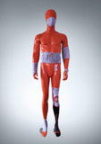 Full Body Display Stand
